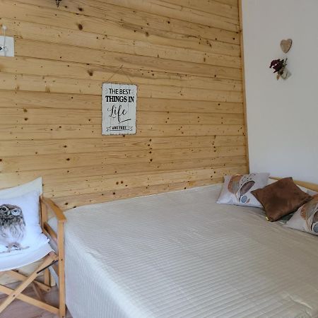 Vila Cabana Praid Exteriér fotografie