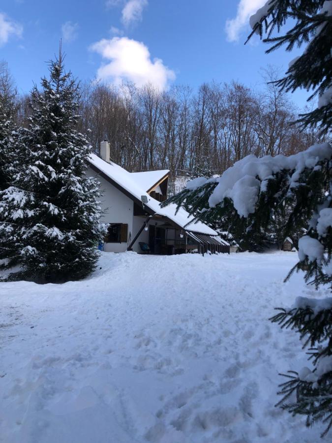 Vila Cabana Praid Exteriér fotografie