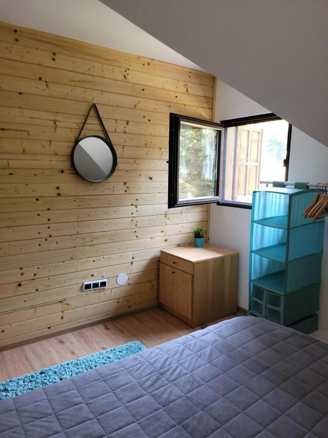 Vila Cabana Praid Exteriér fotografie