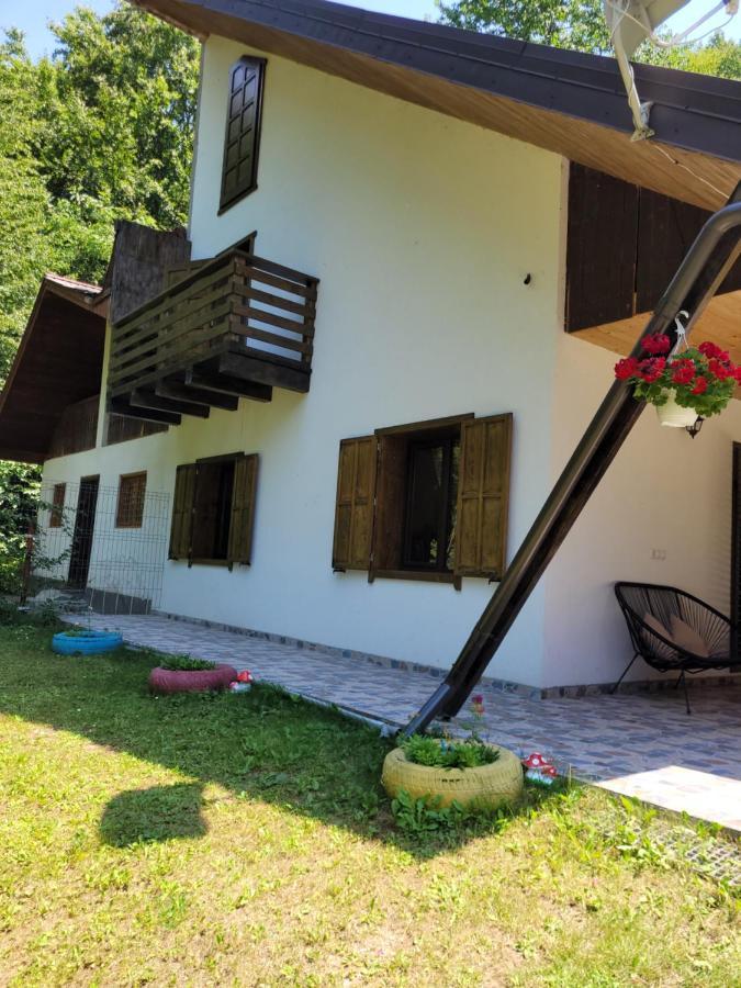 Vila Cabana Praid Exteriér fotografie
