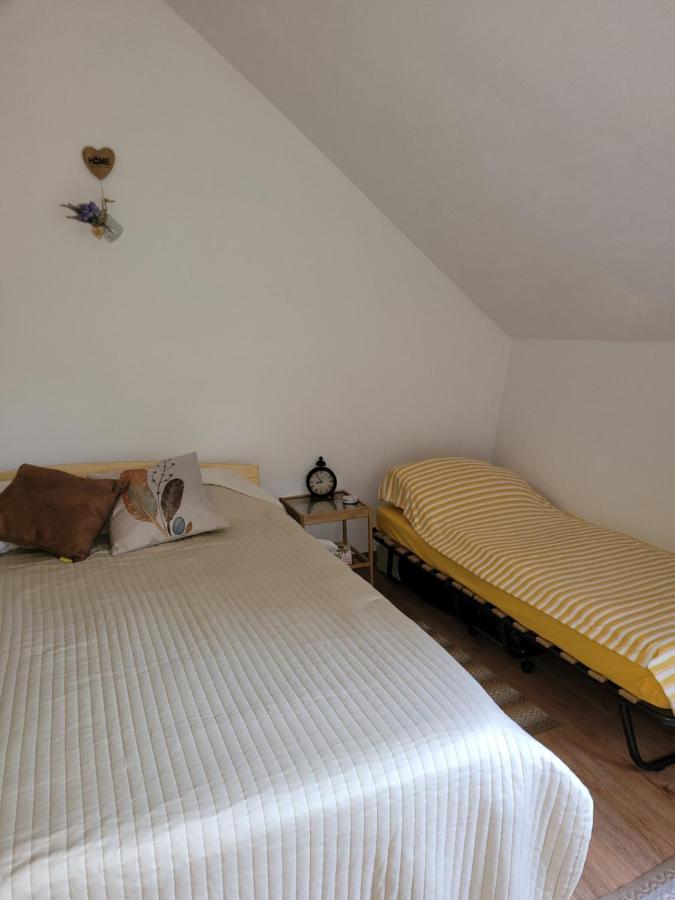 Vila Cabana Praid Exteriér fotografie